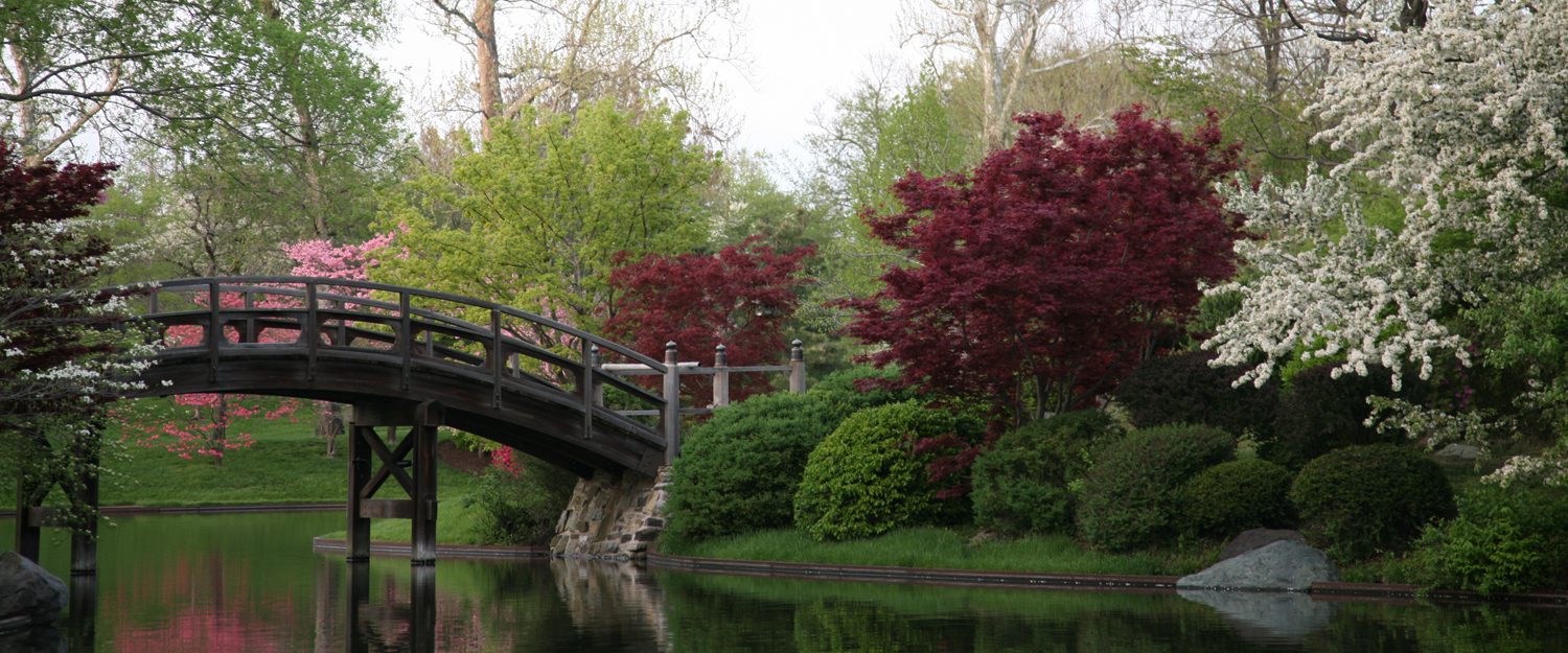 Japanse tuin met brug Tegel eruit, plant erin Geveltuin