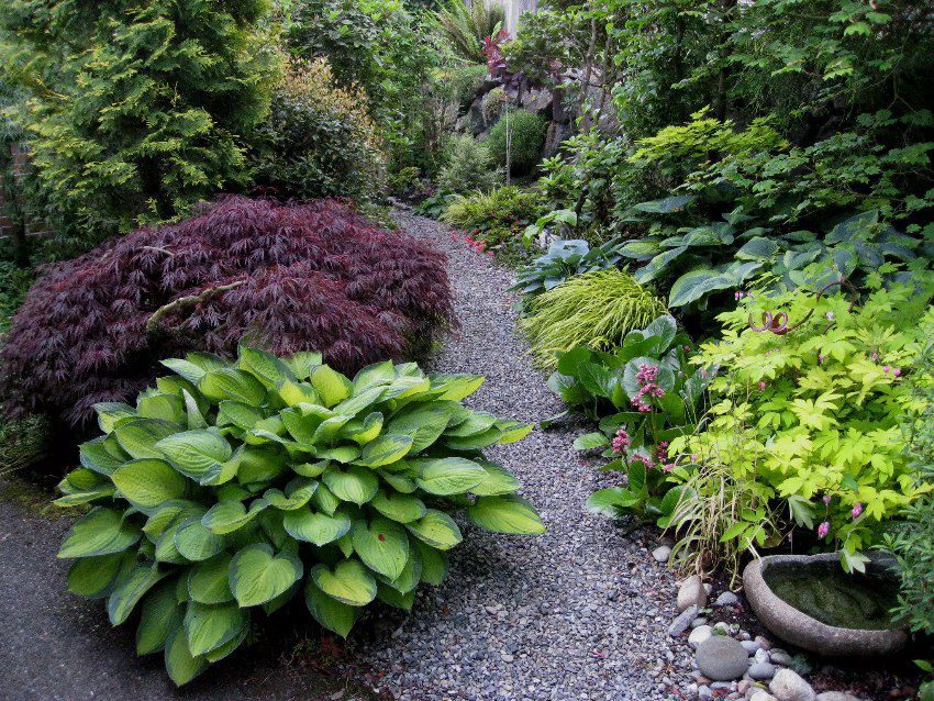 Een Japanse tuin met waterbassin en verschillende kleuren groen