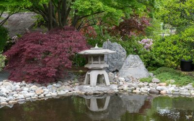 Een Japanse tuin