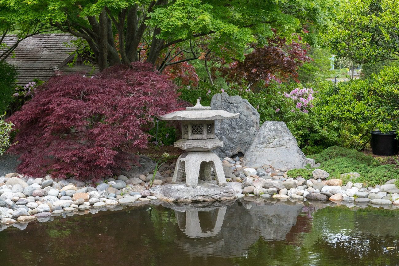 Japanse Tuin_De Groene Buitenkamer Tips Tegel eruit, plant erin Geveltuin